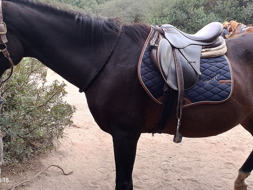Centro Equestre La Prugnola-Arzachena必去景点