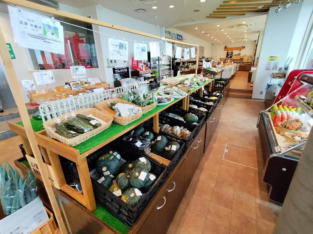 Michi-no-Eki Kaminokuni Monju-上之国町必去景点