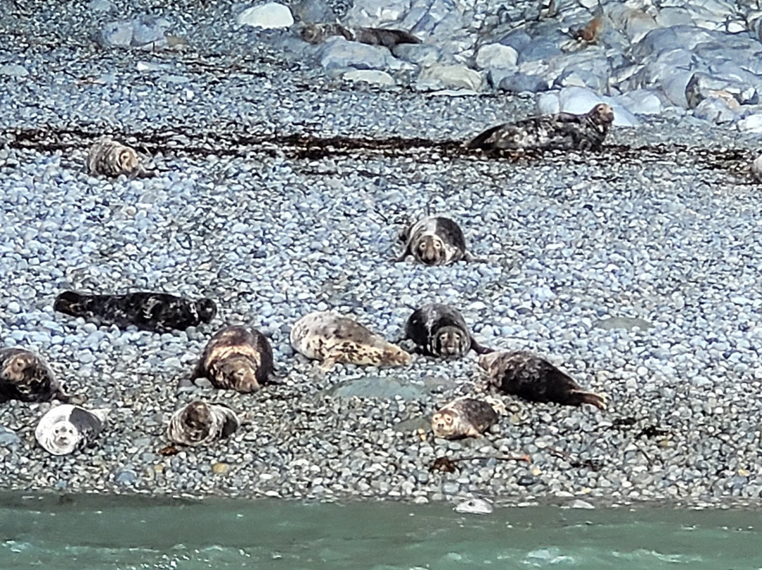 Voyages of Discovery (Ramsey Island)景点图片