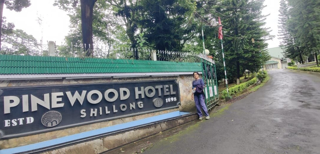 Pinewood Hotel主图