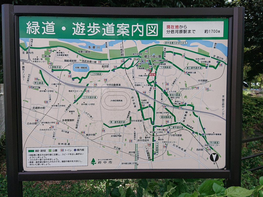 Shimogawara Green Pathway-府中市必去景点