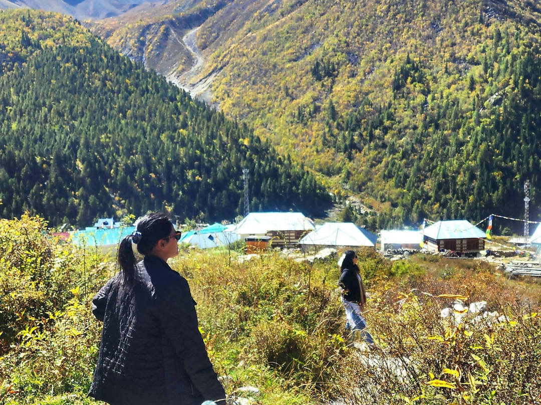 The Wanderer’s Nest主图