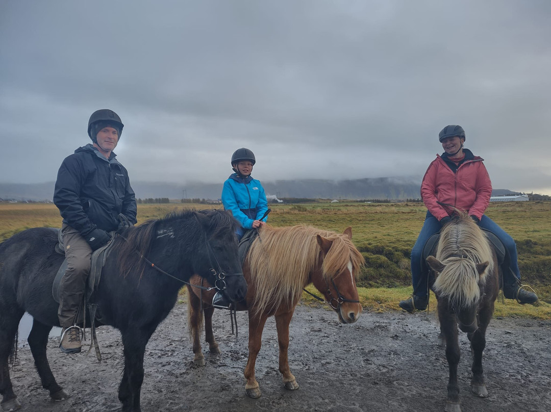 Eldhestar Volcano Horses景点图片