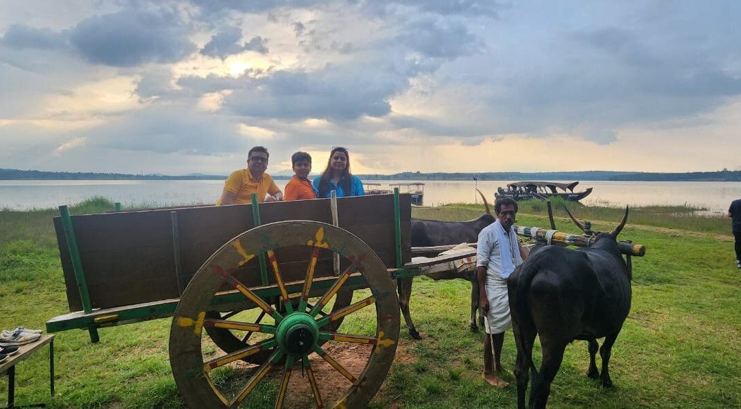 Evolve Back, Kabini主图