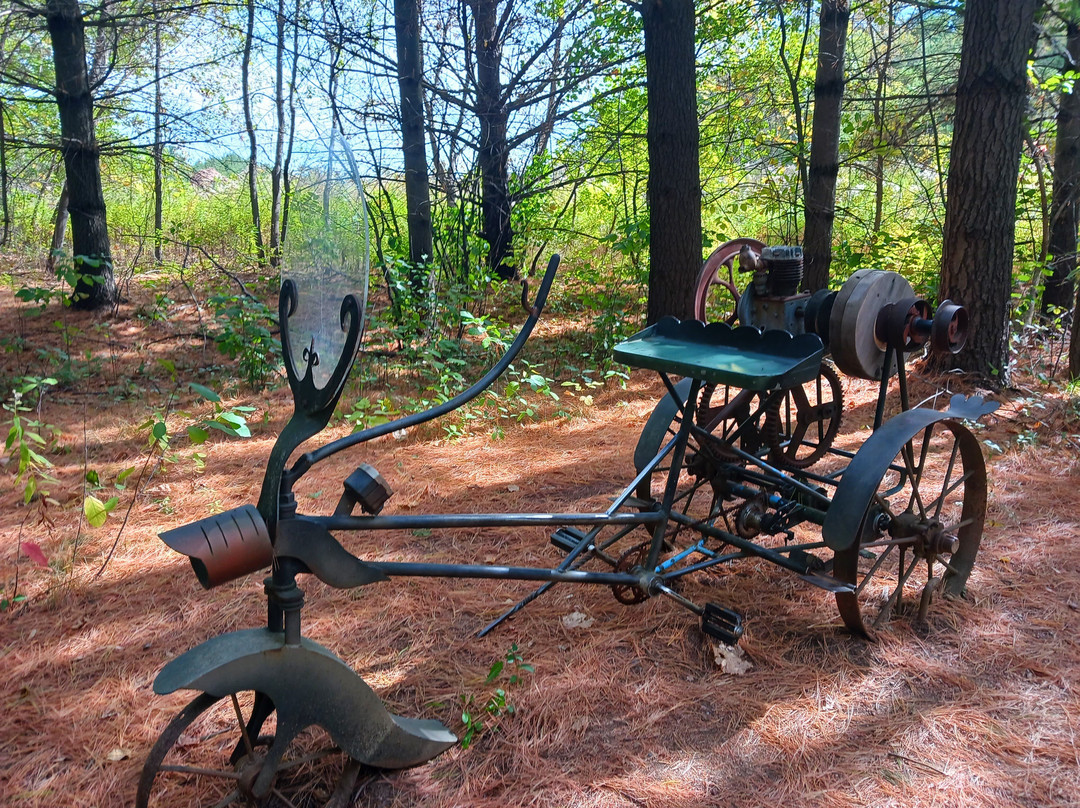 Stevens Point Sculpture Park景点图片