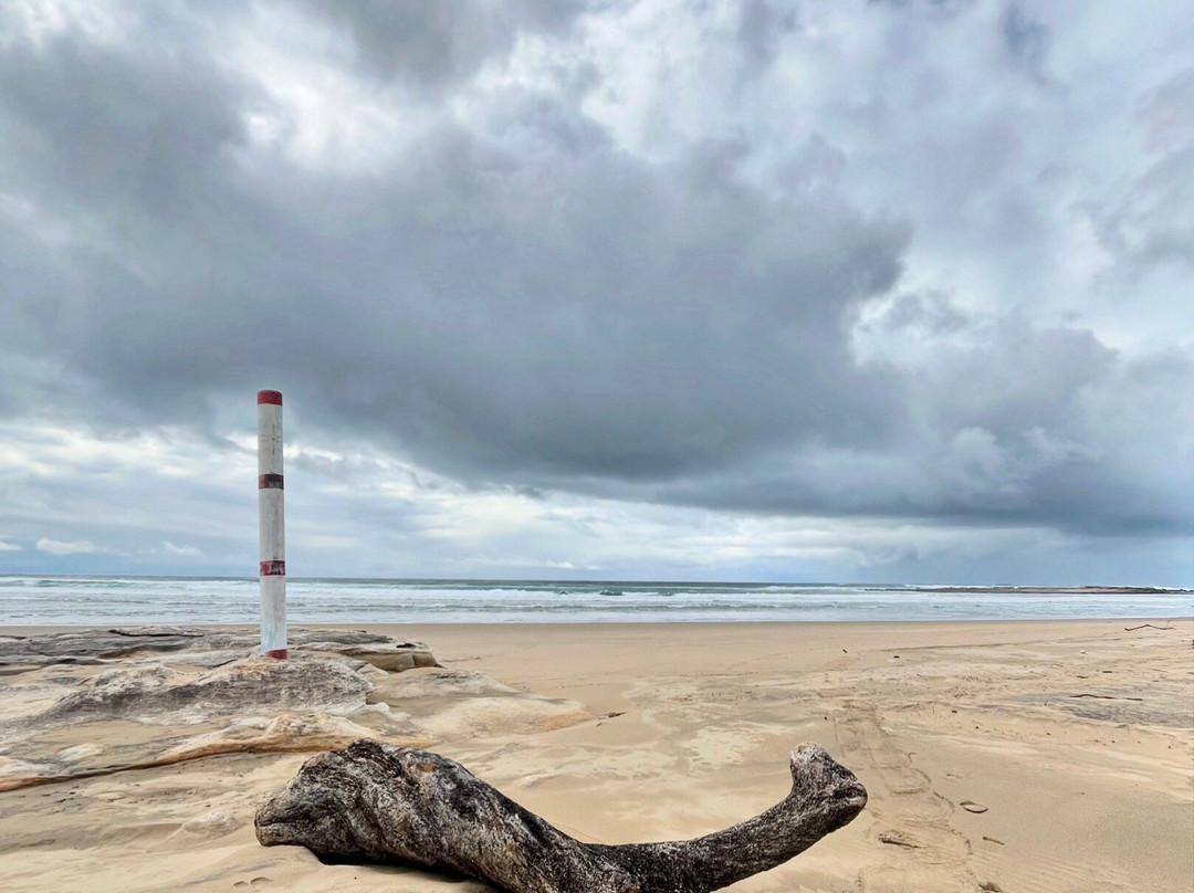 The Wild Walk with Singletrack Adventures-Mbotyi必去景点