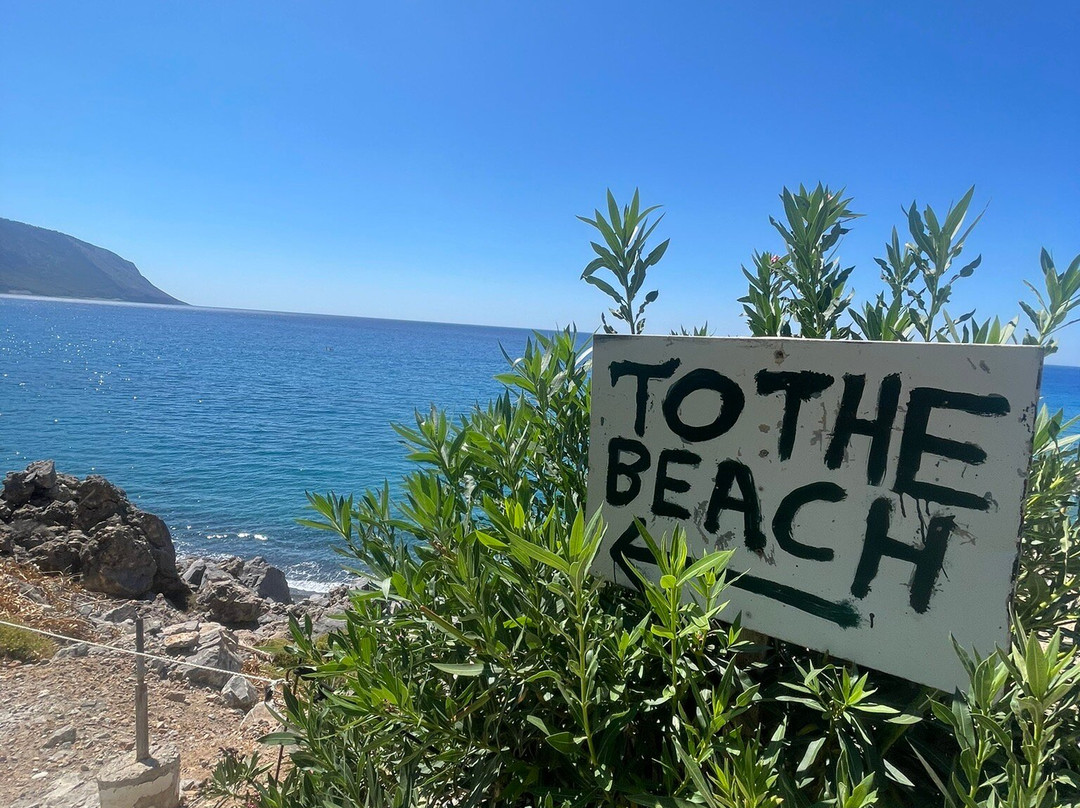 Sweet Corner Masxali主图