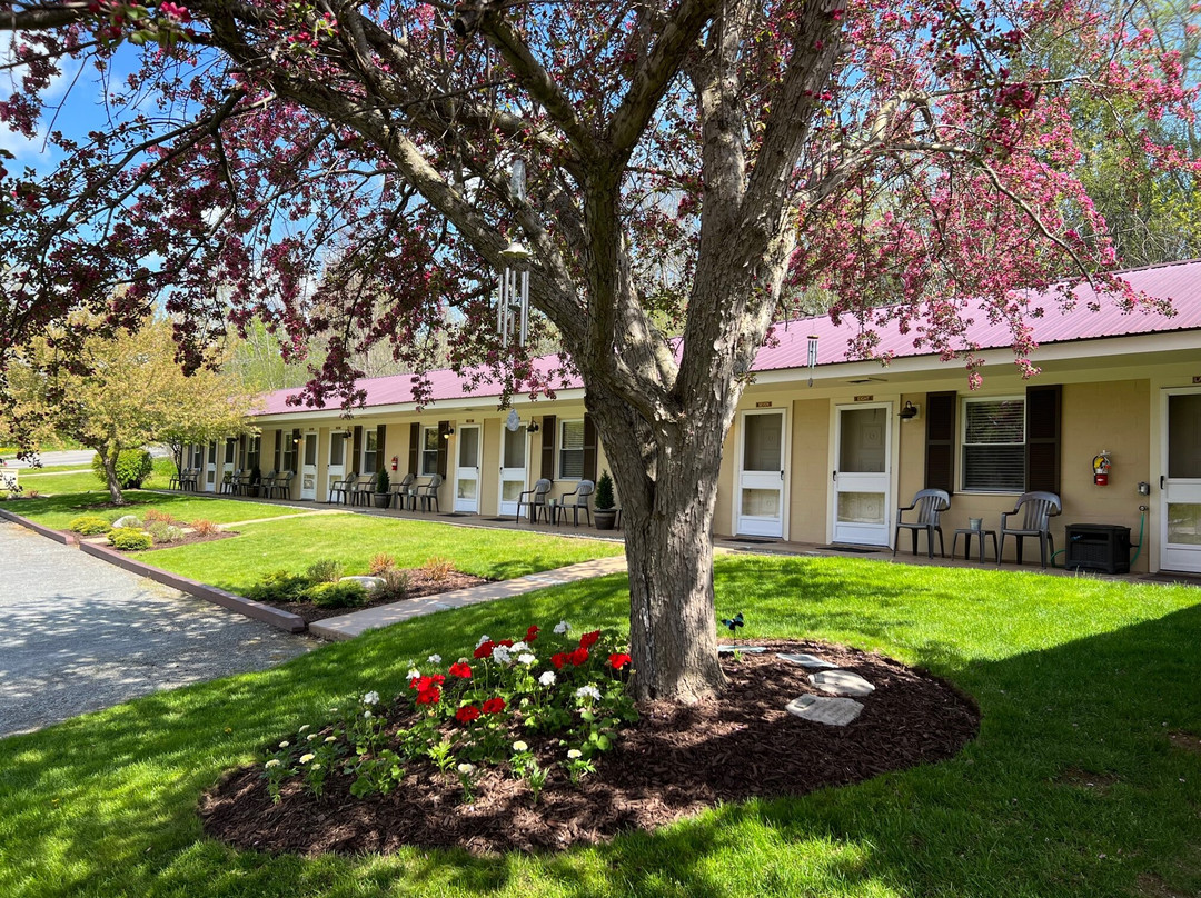 The Lakeside Motel主图