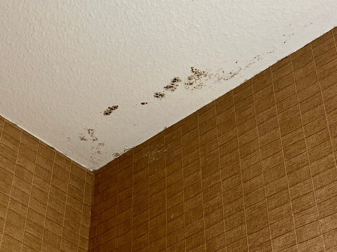 Wingate By Wyndham Eagle Vail Valley主图