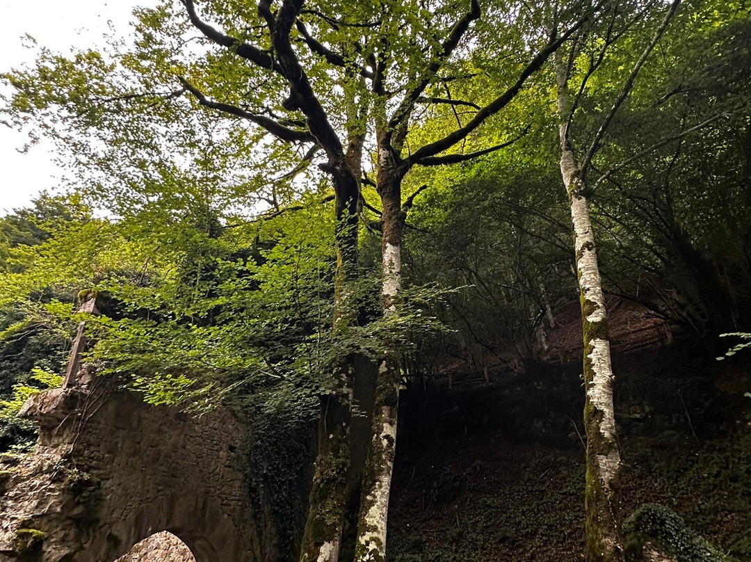 Quinto Real Forest-Eugi必去景点