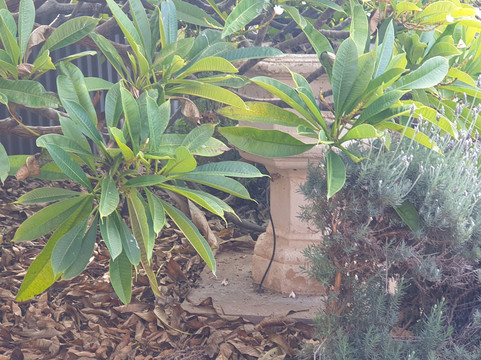 Moonta Uniting Church