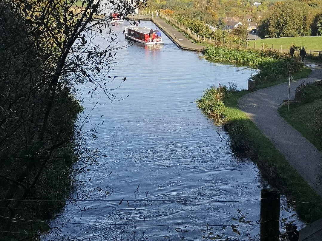 Scottish Segway Centre-福尔柯克必去景点