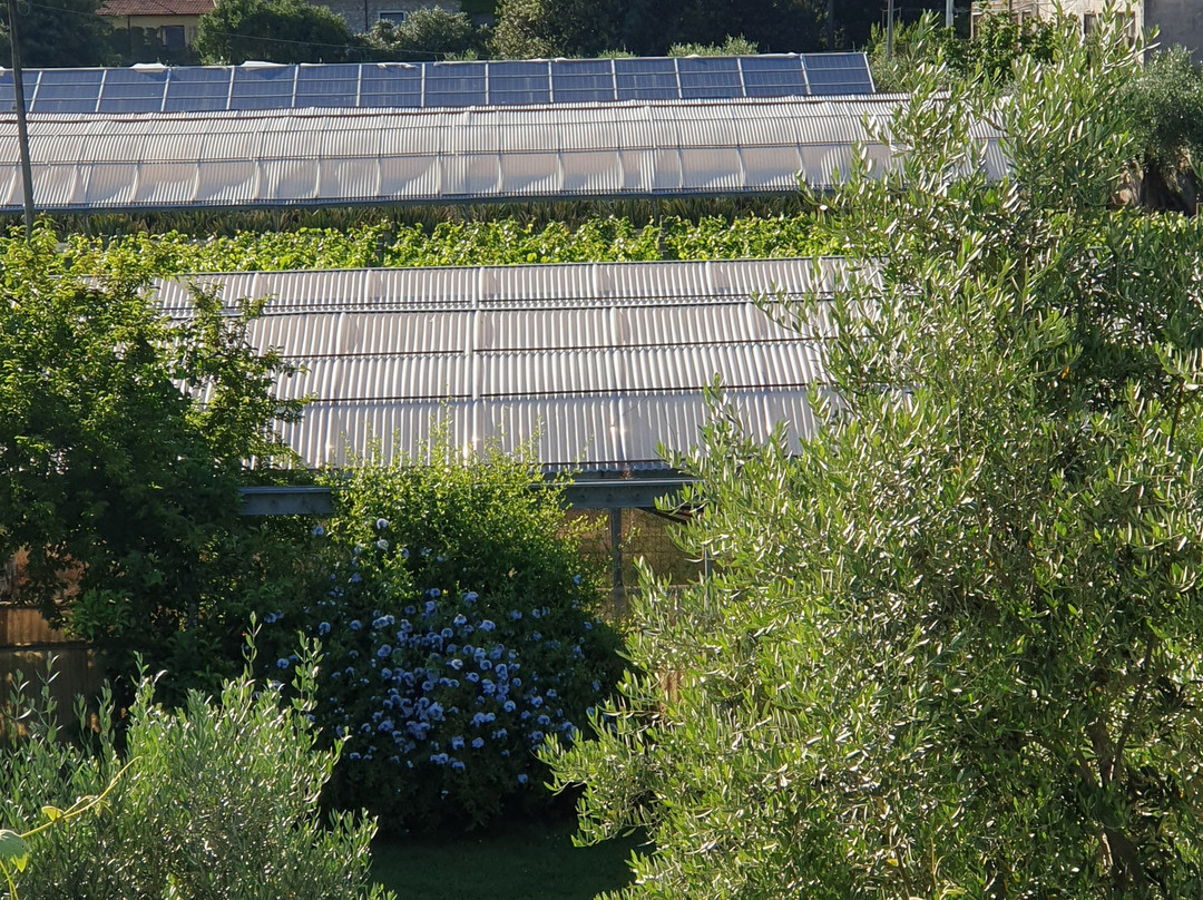 Agriturismo La Vite Maritata主图