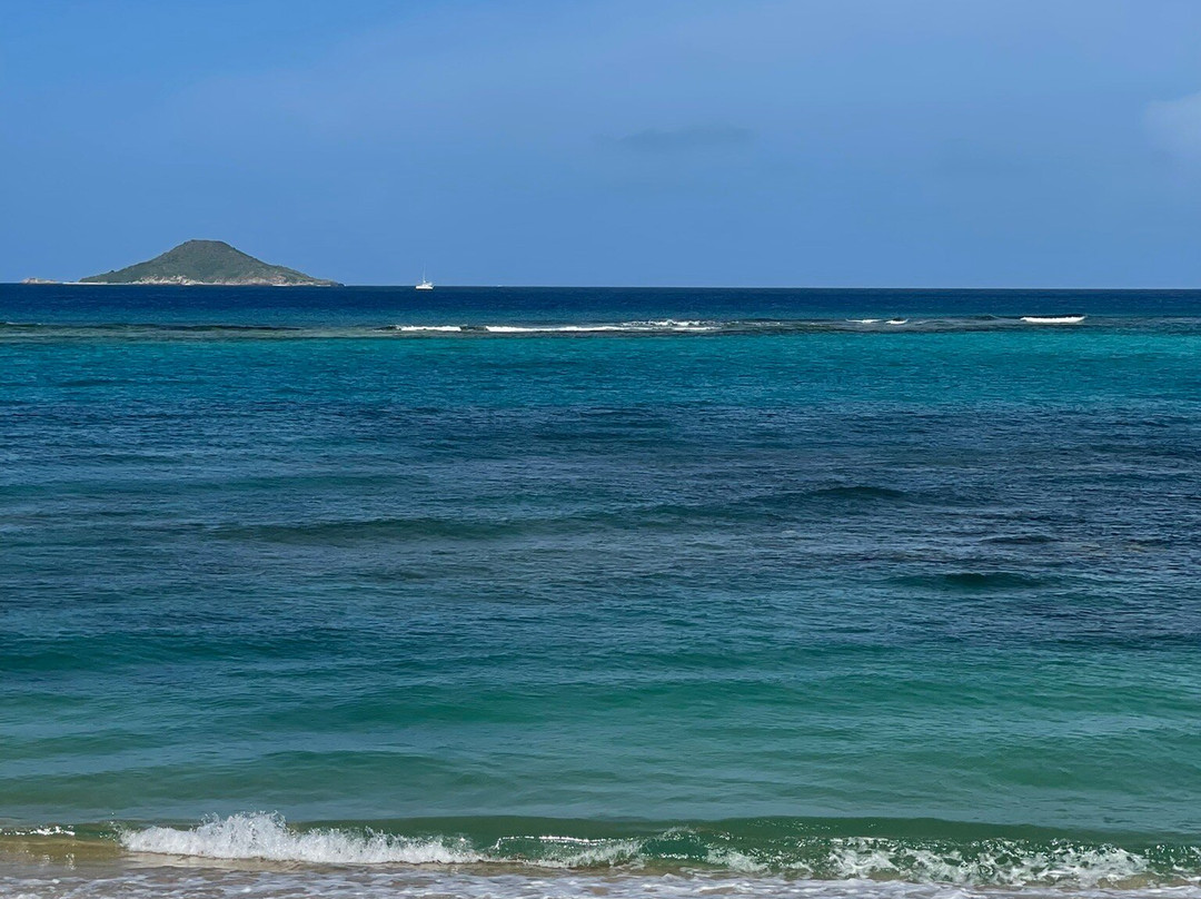 Mango Bay Resort主图