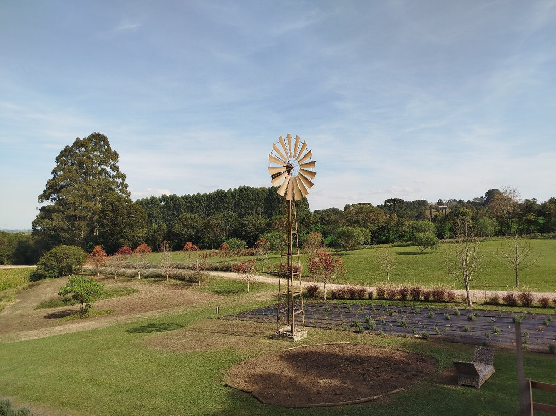 Colonia Witmarsum-Palmeira必去景点