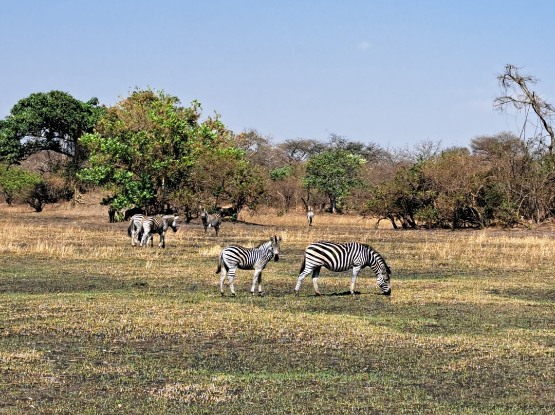 Kuti Wildlife Reserve-沙利马必去景点