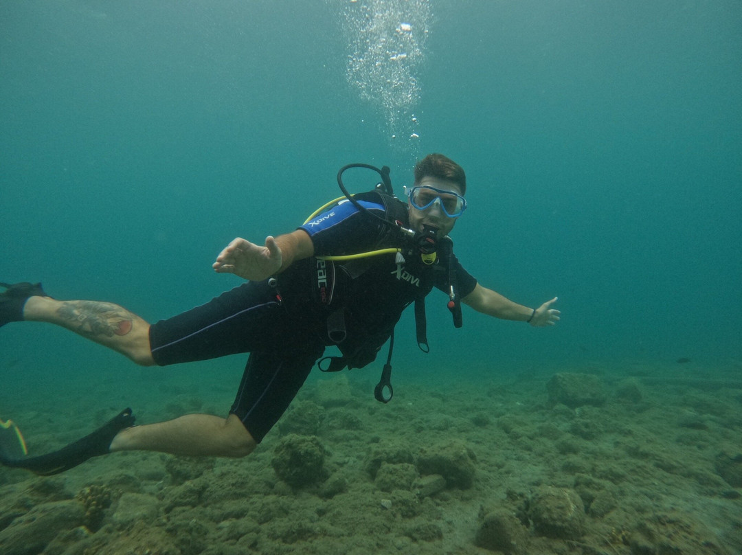 Argonauta Diving Resort景点图片