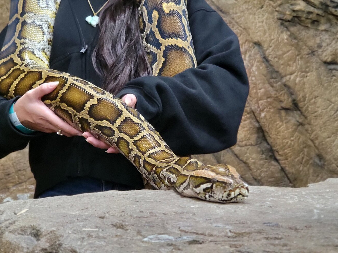 The Reptile Zoo-芳泉谷必去景点