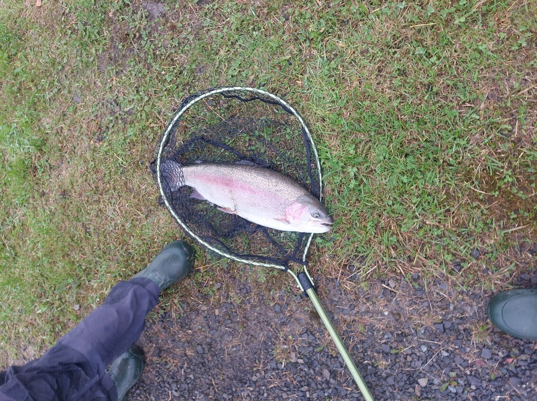 Birchwood Fishery-Drumquin必去景点