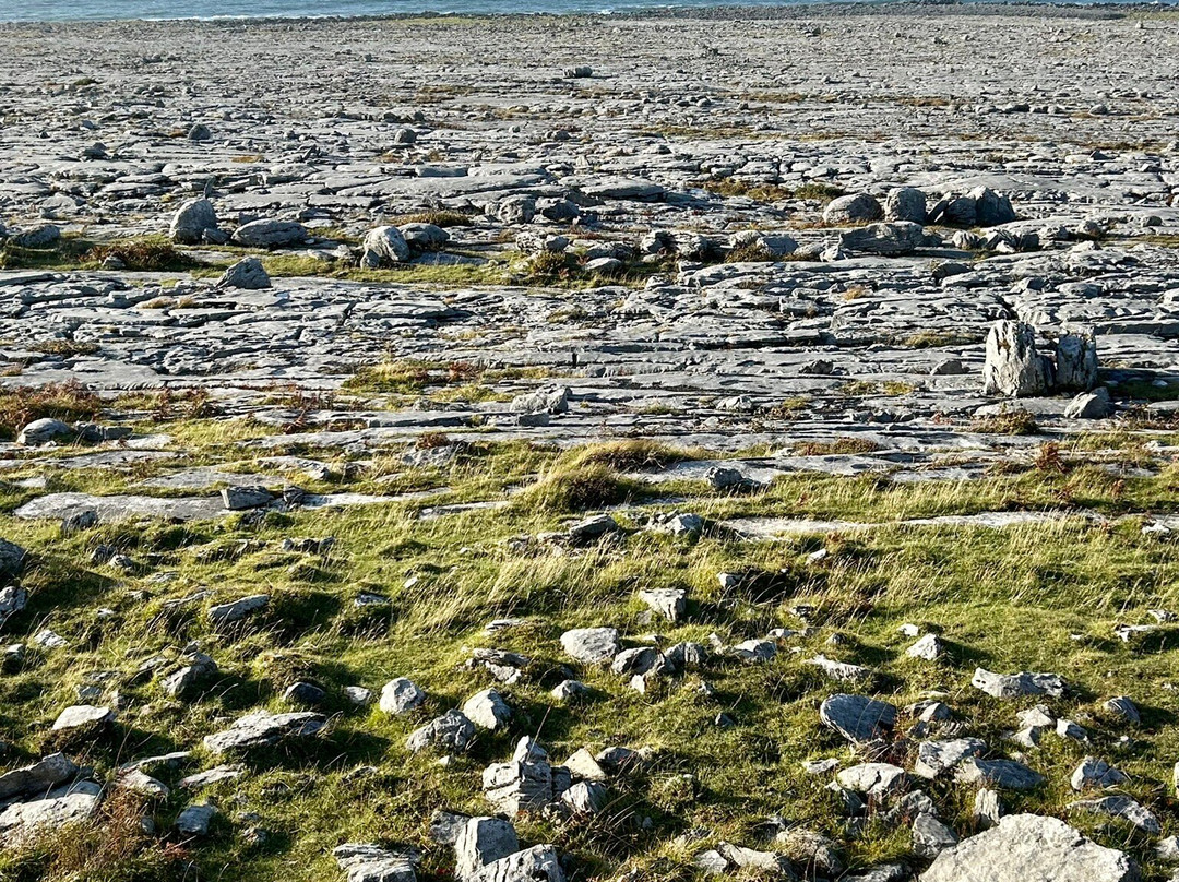 Beauty Of The Burren Walks景点图片