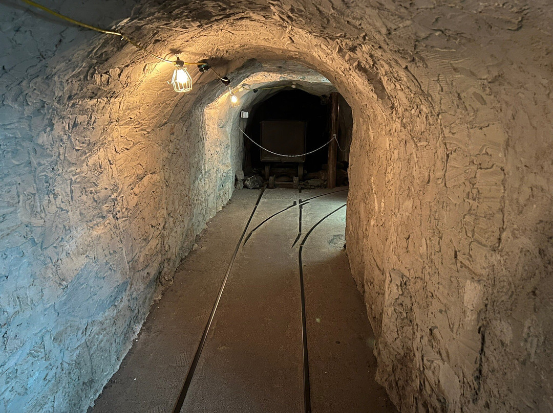 Franklin Mineral Museum景点图片