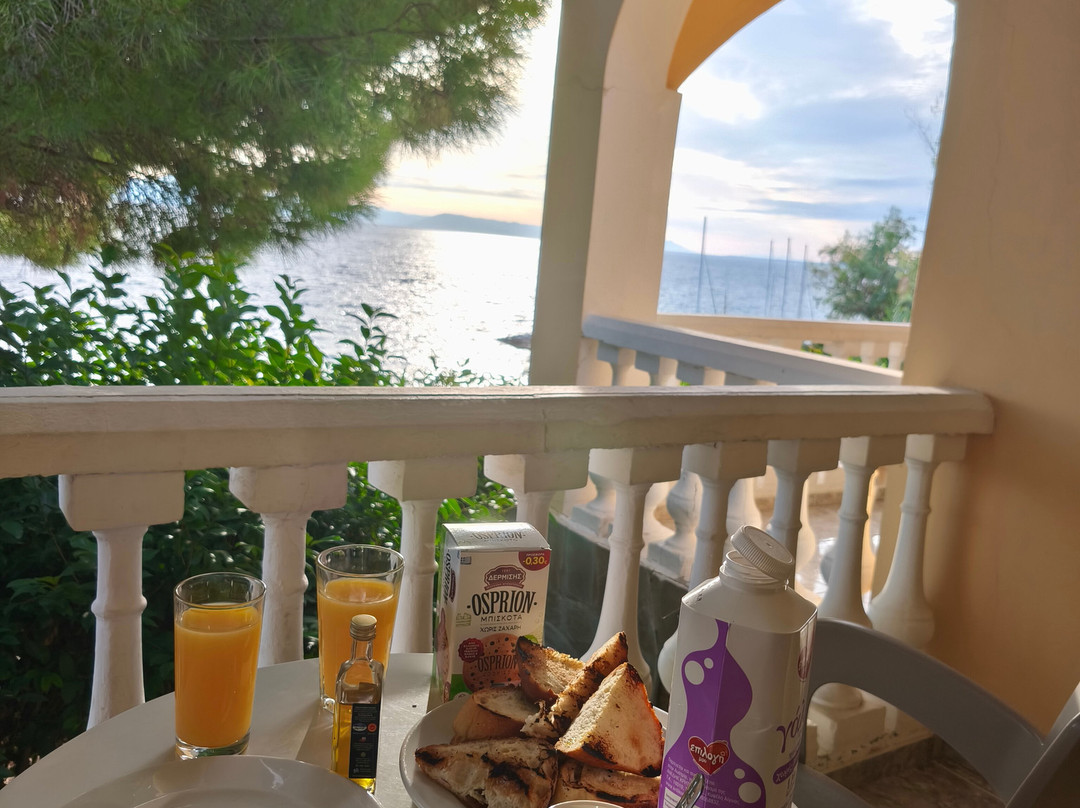 Dimitra Studios主图