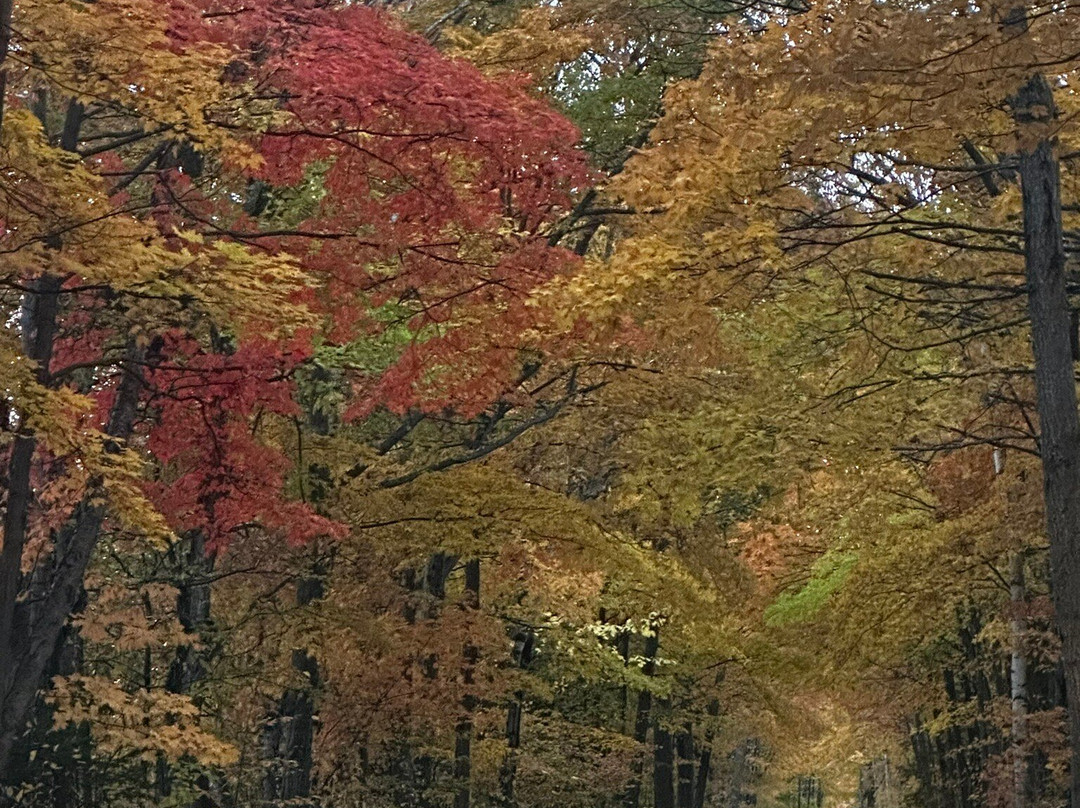 Rib Mountain State Park-Wausau必去景点