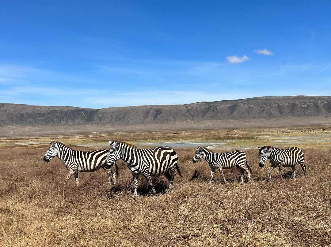 Zan Isaac Tours-桑给巴尔市必去景点