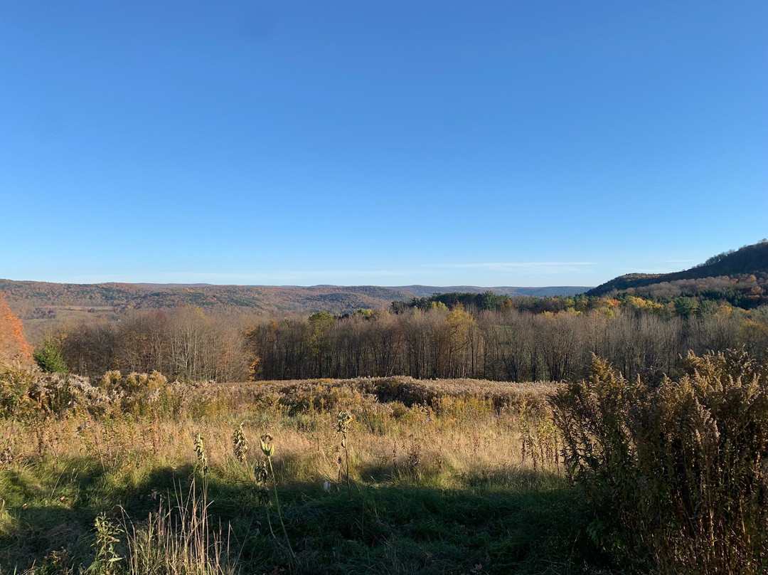 古珀敦奥古斯特旅馆主图