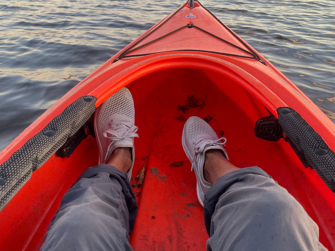 Kayak Carolina景点图片