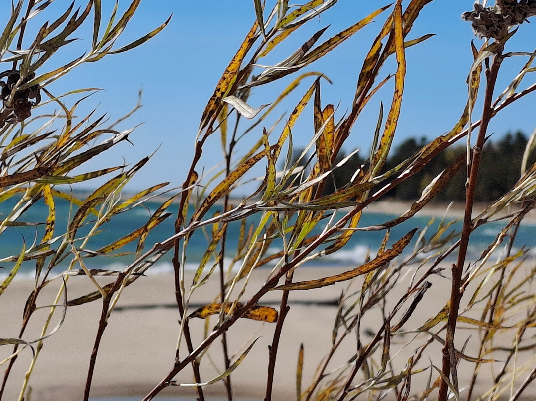 Emerald Island Inn主图