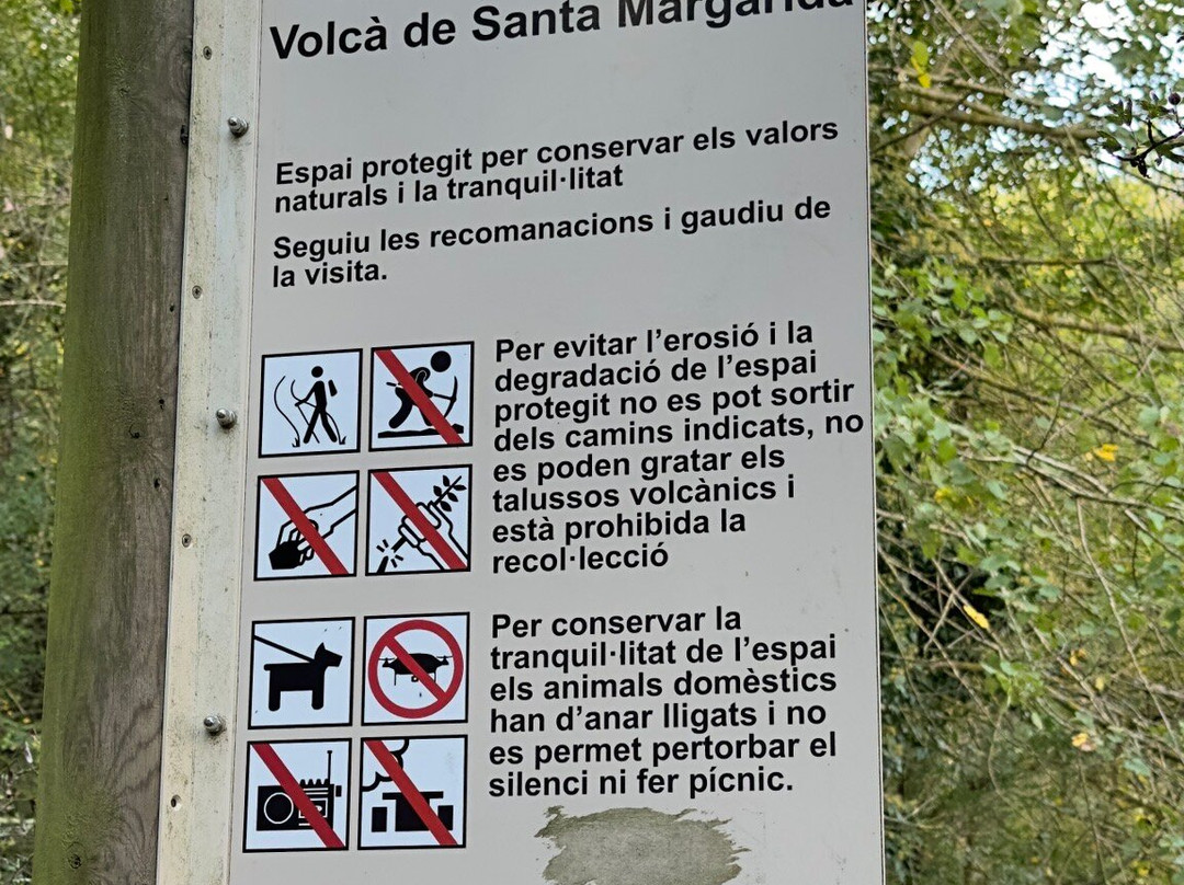 Volcán de Santa Margarida景点图片