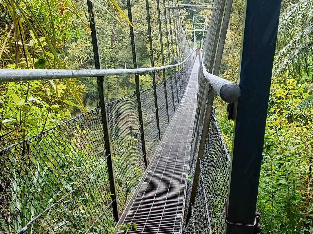 Waiohine Gorge Suspension Bridge景点图片