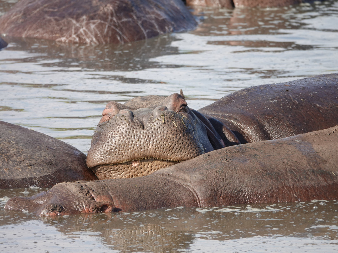Tan Spirit Safari-阿鲁沙必去景点