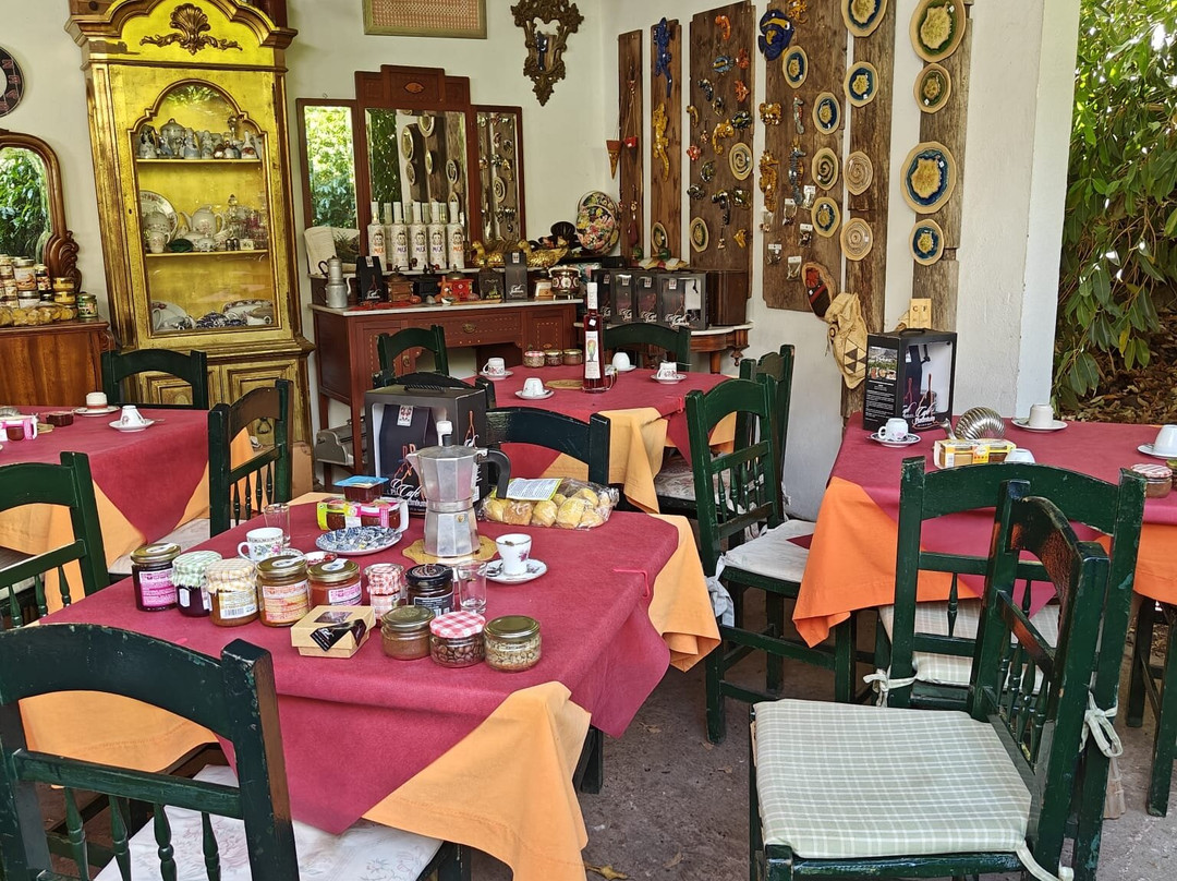 Finca Los Castanos景点图片