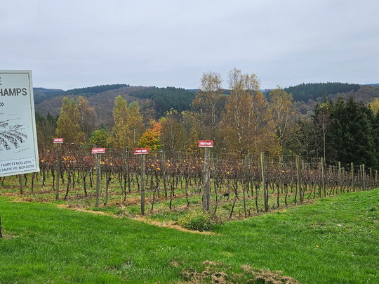 Parc Animalier De Rochehaut