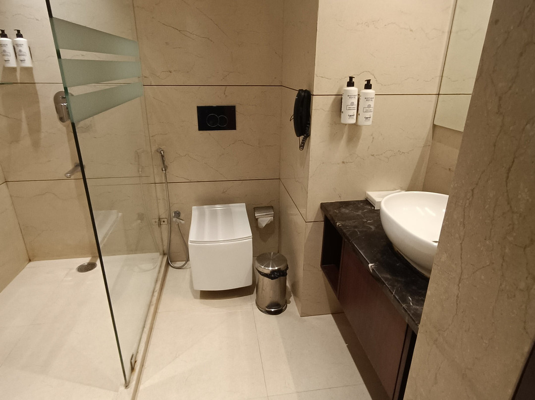 Cygnett Park BL Jaipur主图