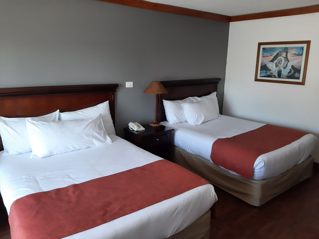 Radisson Hotel Colonia del Sacramento主图