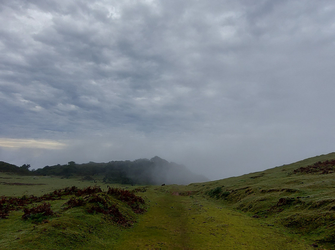 Green Devil Safari-沙尔必去景点
