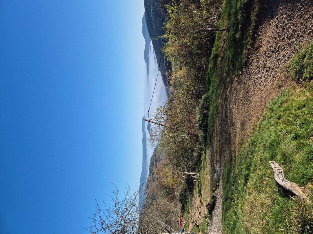 La Petite Finlande主图