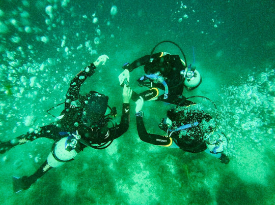 Cebu Dive Guide-莫阿尔博阿尔必去景点