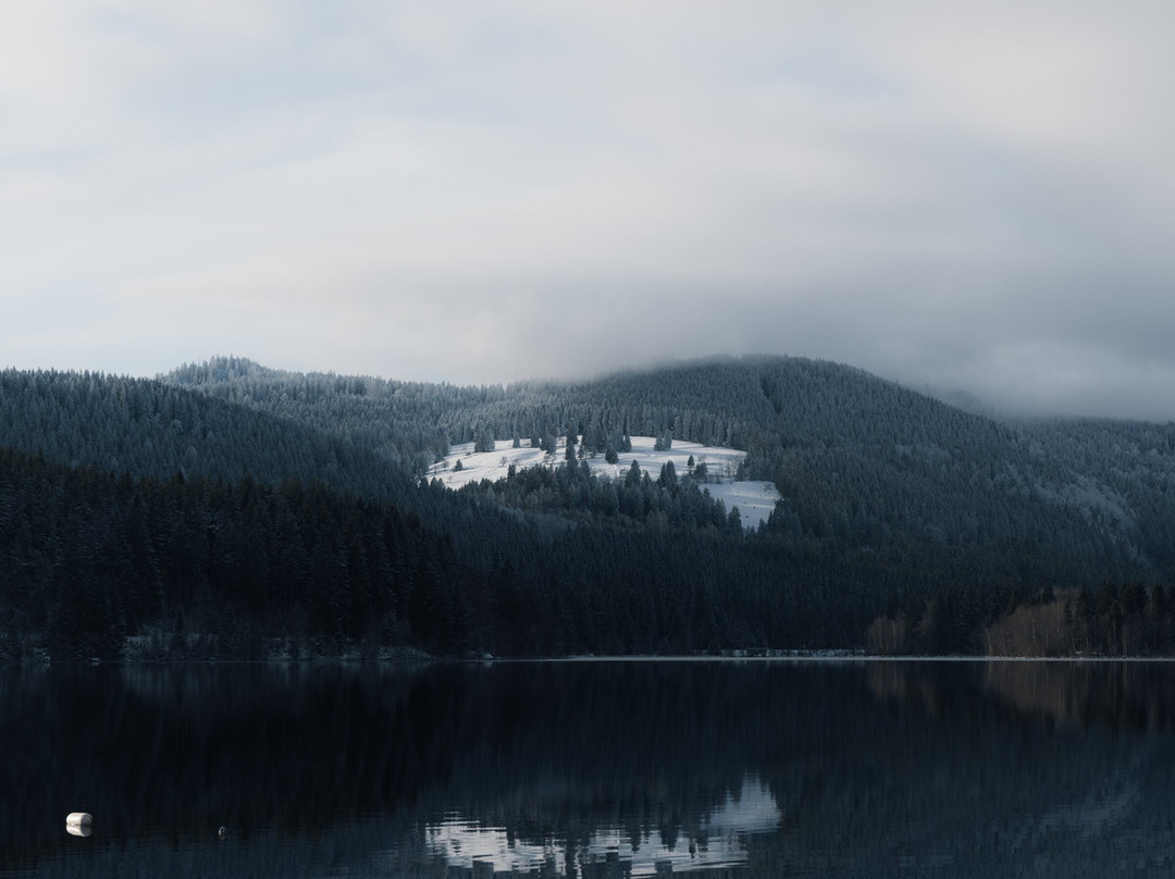 Hotel Auerhahn主图