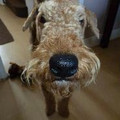misterwilson93