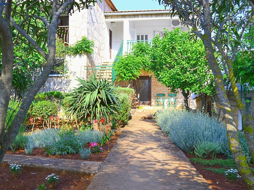Apartments Basina