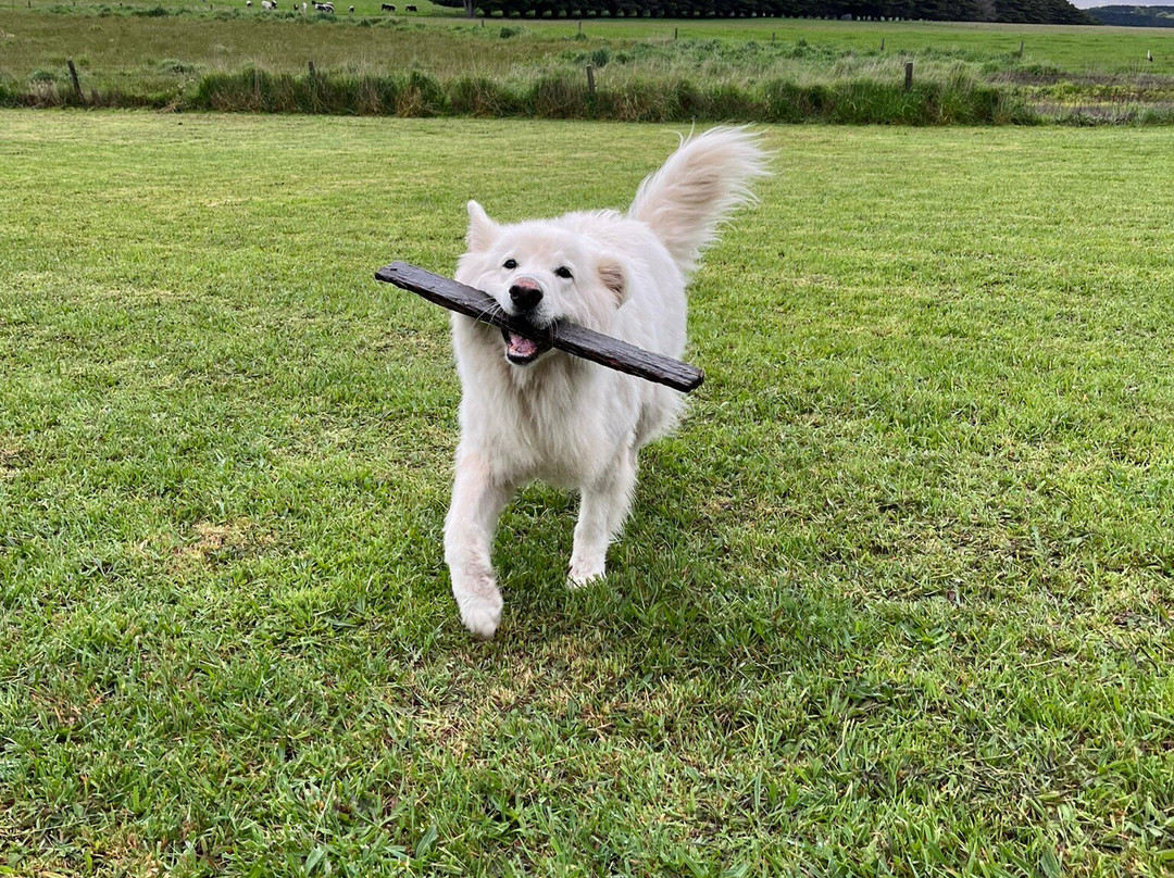 十二使徒汽车旅馆及乡间别墅主图