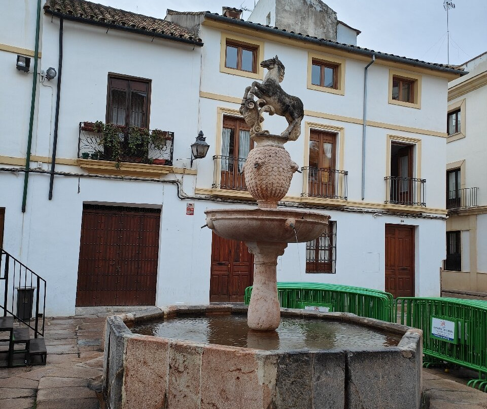 Plaza del Potro景点图片