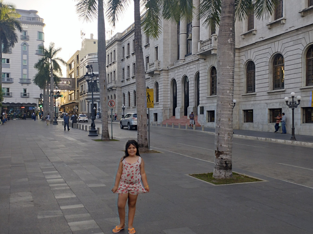 Plaza de Armas-坦皮科必去景点