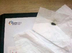 赢家商务酒店主图