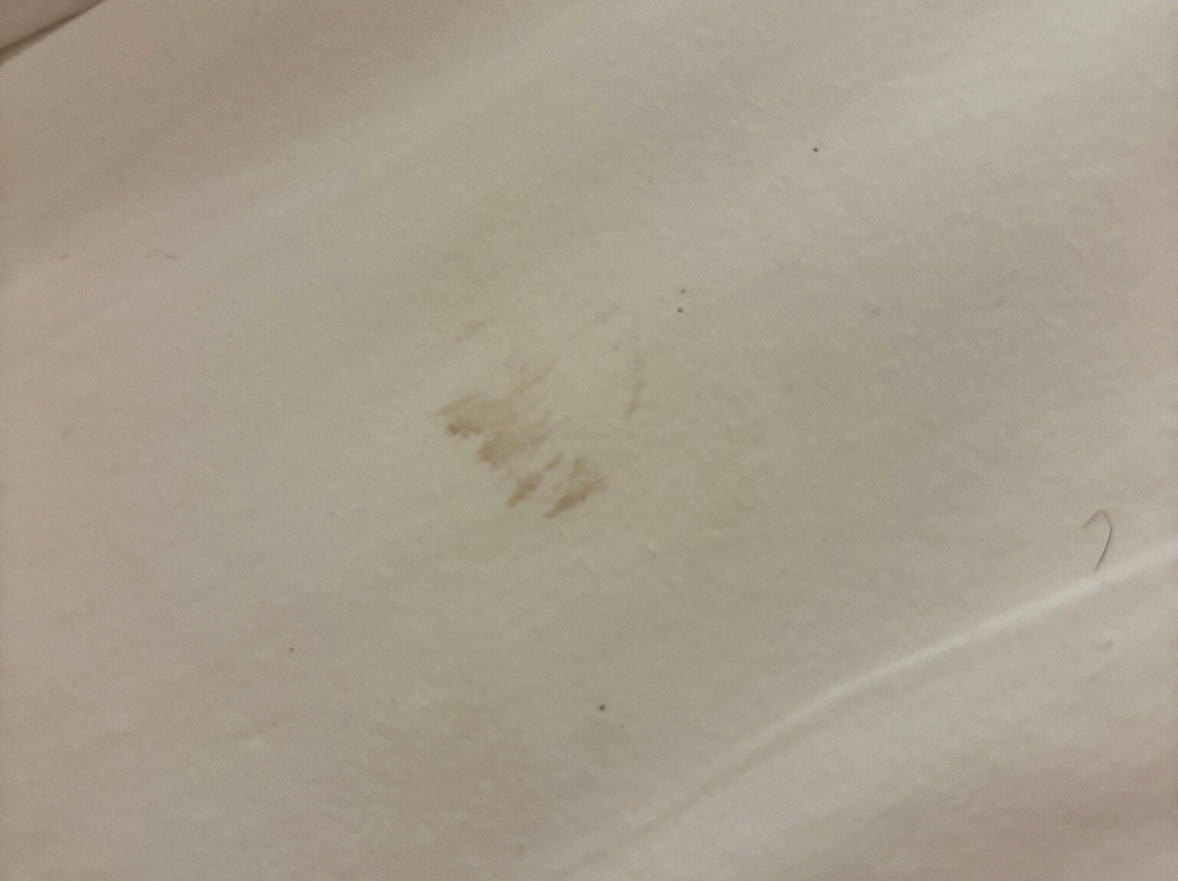 WoodSpring Suites Chesapeake-Norfolk South主图