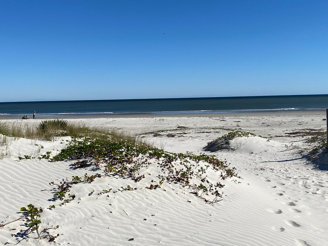 Cumberland Island National Seashore
